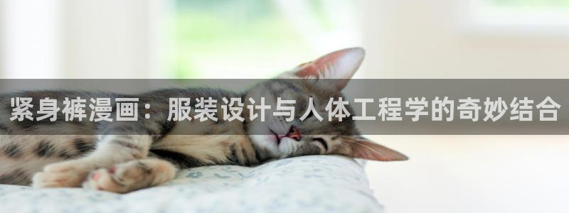汗汗漫画免费看网站