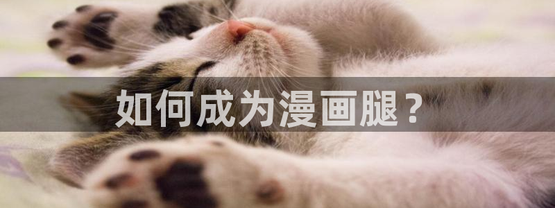 汗汗漫画免费阅读