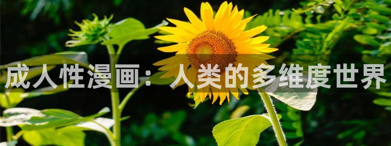 汗汗漫画在线阅读无限金币