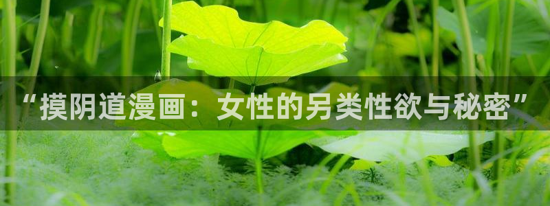 汗汗漫画网页入口免费