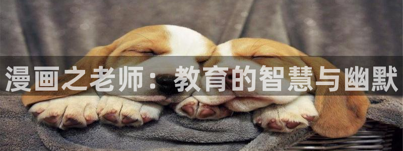 汗汗漫画登录页面