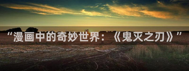 汗汗漫画海贼王