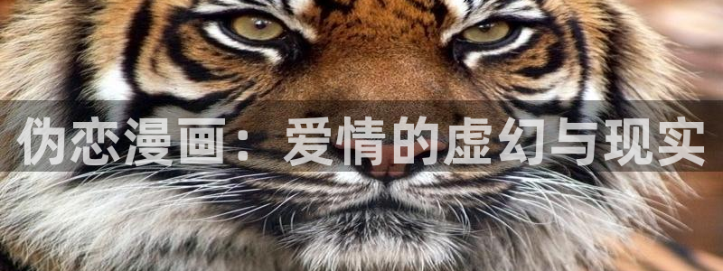 韩漫汗汗漫画网