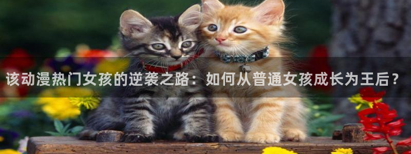 汗汗漫画看
