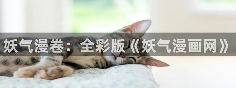羞羞漫画 汗汗漫画