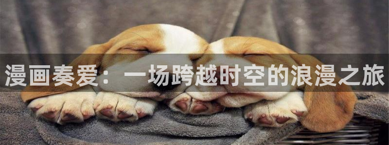 打开汗汗漫画