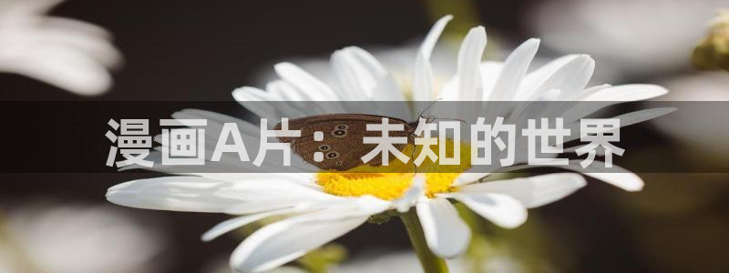汗汗漫画免费观看