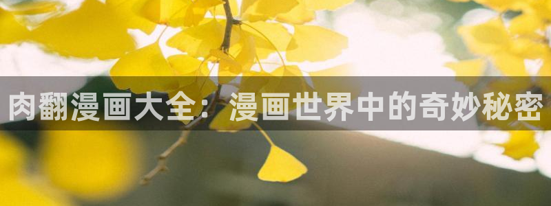 汗汗漫画下载入口