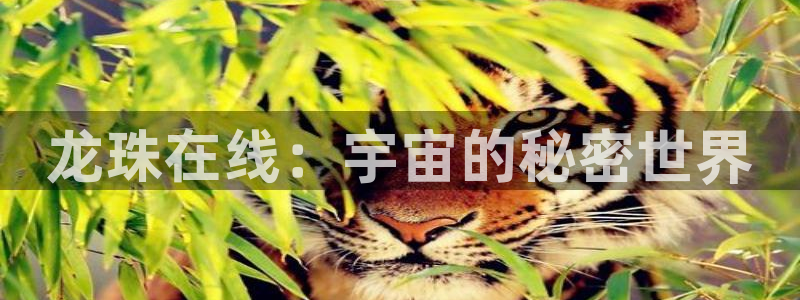 汗汗漫画: