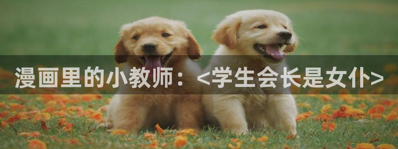 汗汗漫画免费看