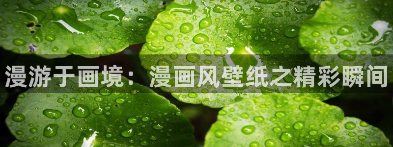 汗汗漫画网首页：漫游于画境：漫画风壁纸之精彩瞬间